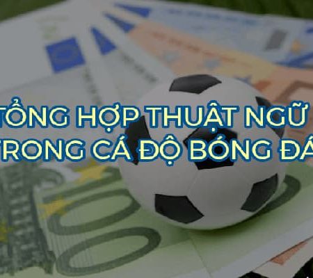 Giải thích các thuật ngữ trong cá độ bóng đá online
