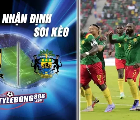 Soi Kèo Cameroon vs Gabon lúc 03h00 ngày 25/12